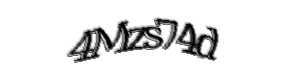 Security check image, please type the characters shown
